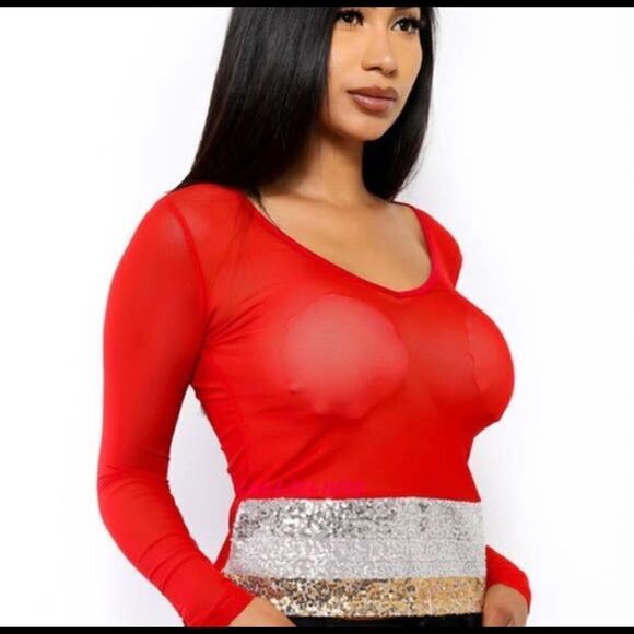 Sequin Mesh V-Neck Long Sleeve Top - Picture 4 of 7